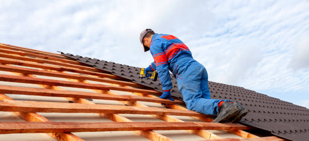 Best Asphalt Shingles Roofing  in Morton, MS